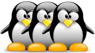 three Linux mascot tux
