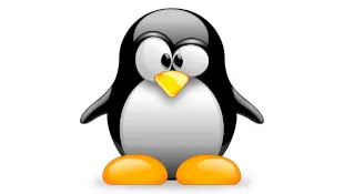 Linux mascot tux